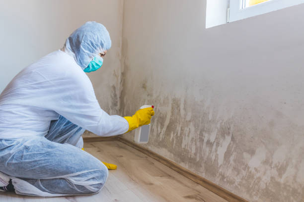 Mold Remediation specialist working in Hopewell